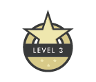 Level 3